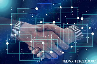 区块链技术开发 应用场景概览与技术路径